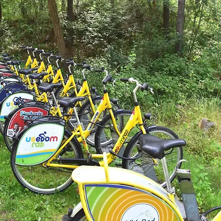 Appartementhaus In アパート